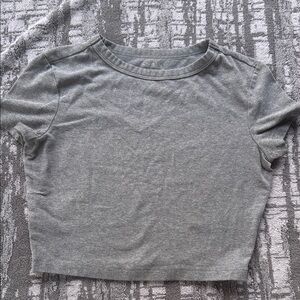 Wild Fable Gray Crop T-Shirt Fitted Style